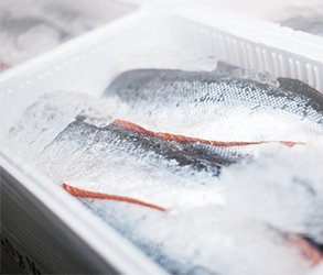 smart-cold-chain